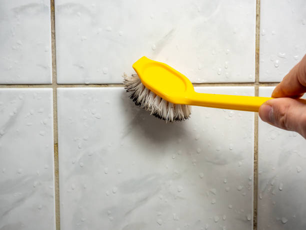 Best Health and Safety Mold Remediation in Dallas, GA